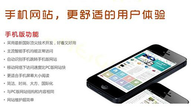 手機網(wǎng)站建設.jpg