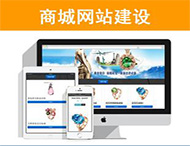 商城網(wǎng)站建設有哪些功能？