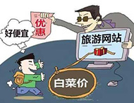 農村旅游網(wǎng)站建設及用戶(hù)體驗度的提高？