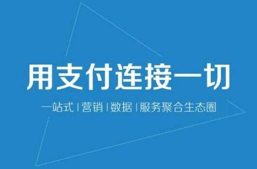 祝賀大華偉業(yè)簽約【友聯(lián)支付】建站項目