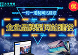 專(zhuān)業(yè)的網(wǎng)站建設公司怎么選？